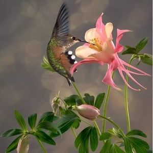 Meet your Posher, Vicki